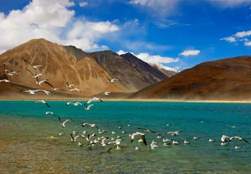 Leh Ladakh